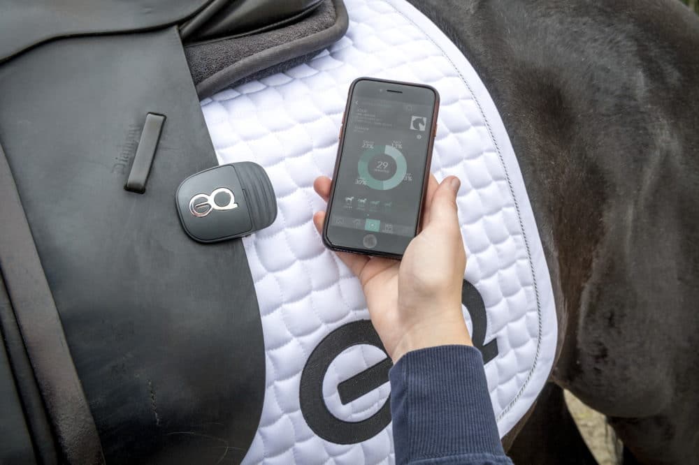 Webinar November 18 2021