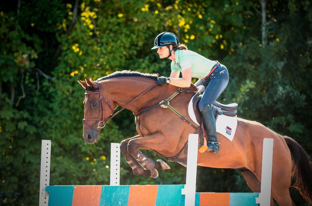 Het rechtrichten van je paard: waarom is het zo belangrijk?
