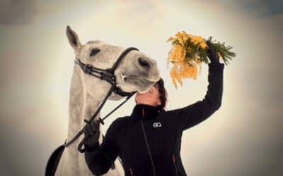 5 ground stretches to make your horse more flexible