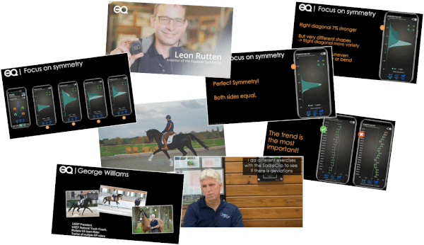 How to understand Symmetry – summary of practical webinar