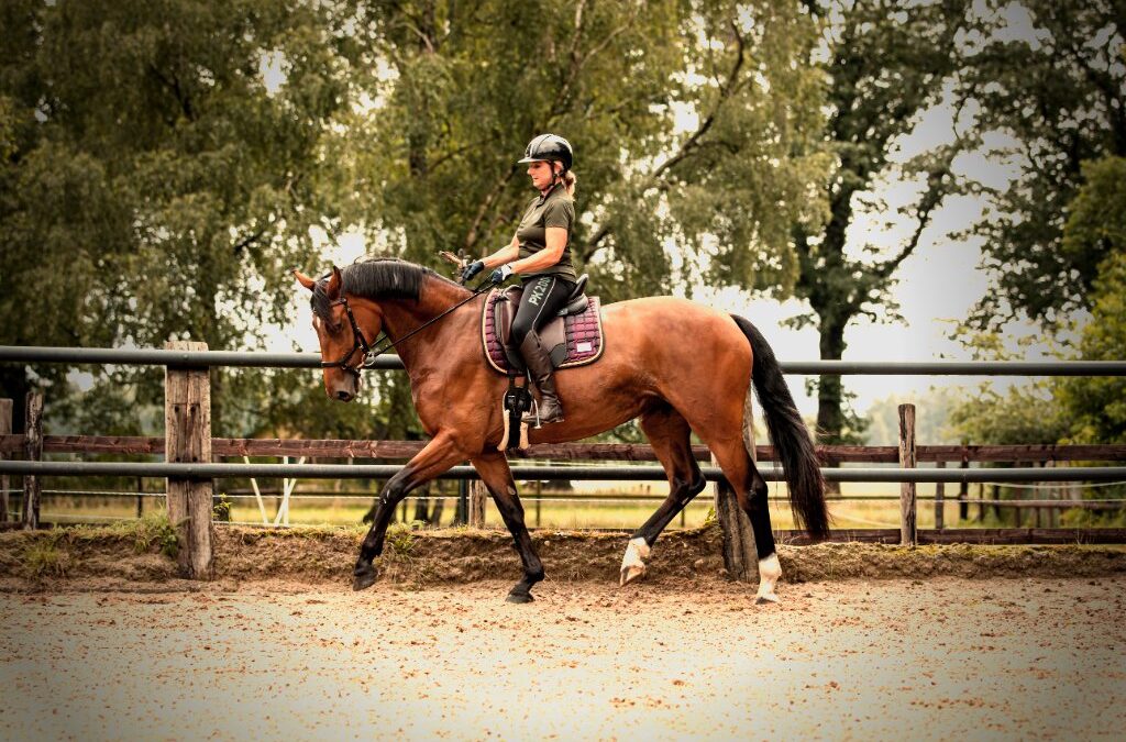 Welk effect heb jij als ruiter op de balans van je paard?