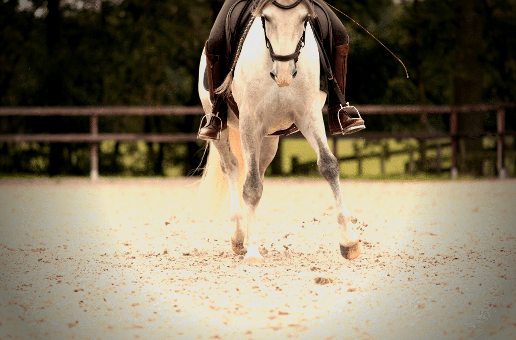 4 gevorderde oefeningen voor het rechtrichten van je paard