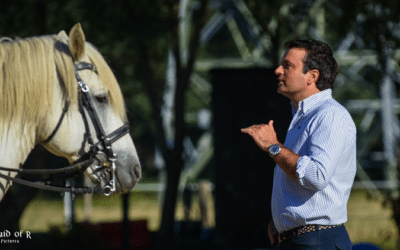 Dressage and Working Equitation training with Nuno Avelar