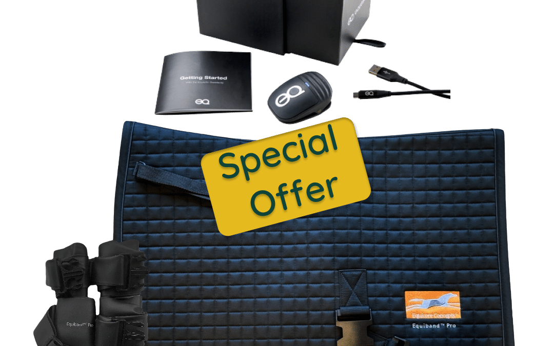 Tools voor Paardenprestaties en Revalidatie