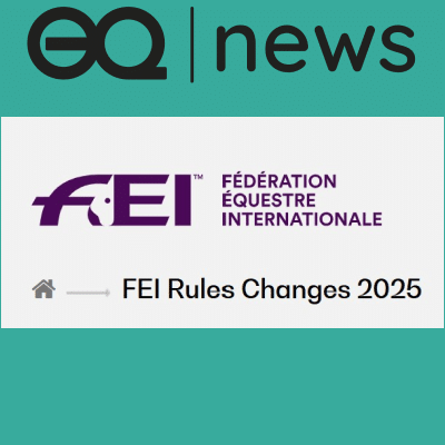 FEI-regels bijgewerkt 2025