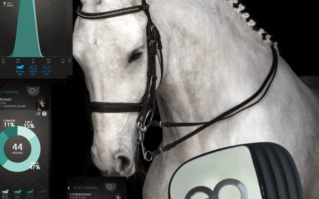 Preparing a Horse for Sale with SaddleClip