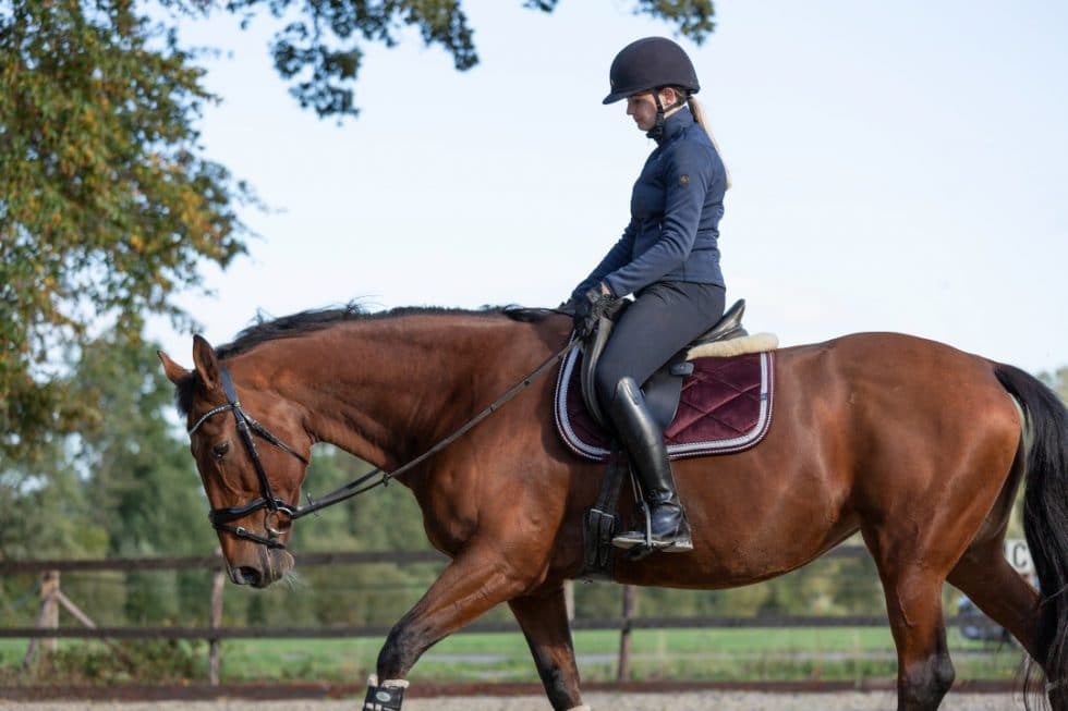 Spot Horse Fatigue Before It Causes Trouble with Fitness Tracking Tools